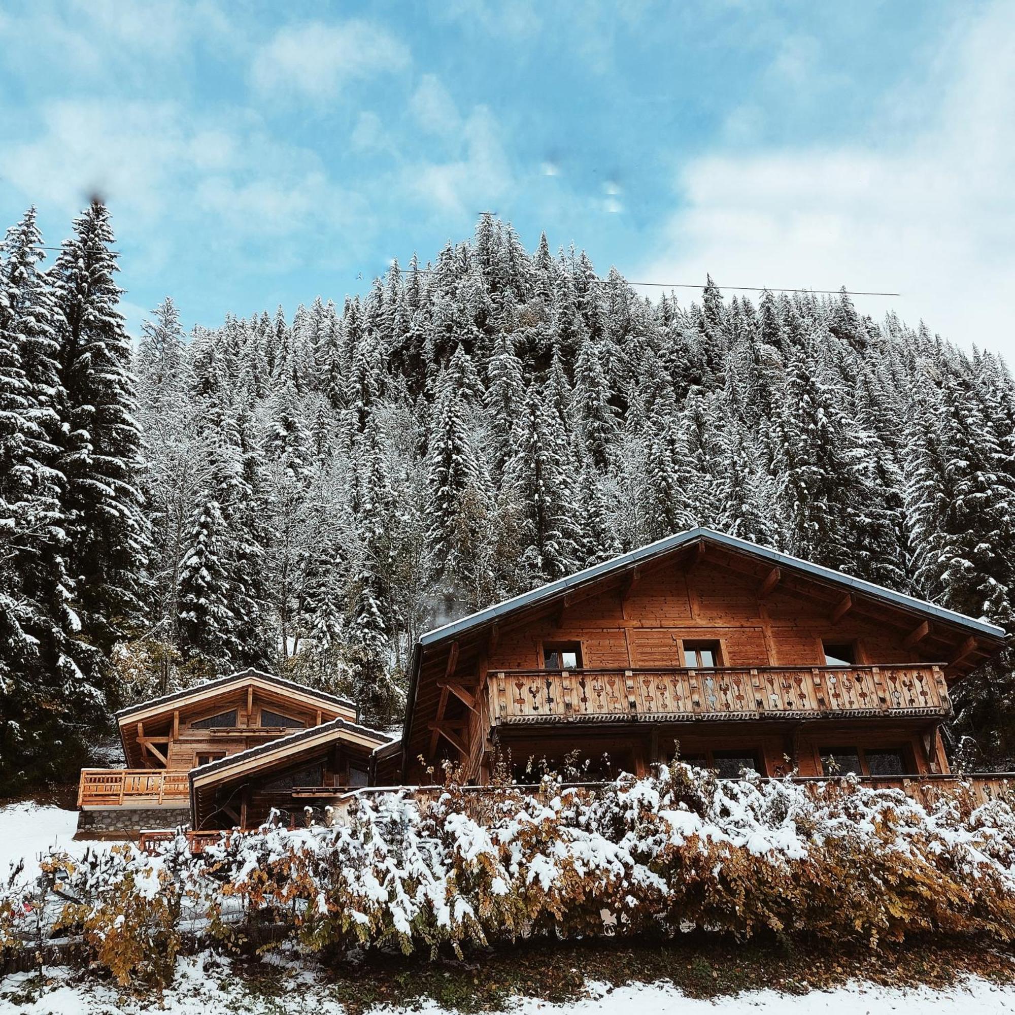 Savoya Lodges Chatel Exterior photo